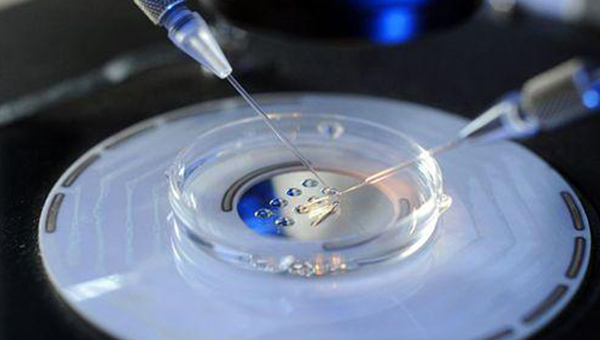 性激素水平与骨骼代谢关系研究进展